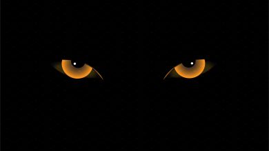 eyes3-[1]